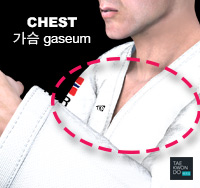 Chest ( 가슴 gaseum )