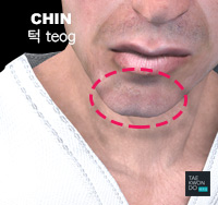 Chin ( 턱 teog )