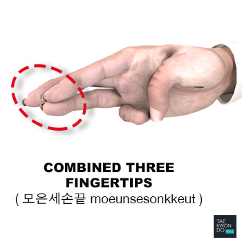 Combined Three Fingertips ( 모은세손끝 moeunsesonkkeut )