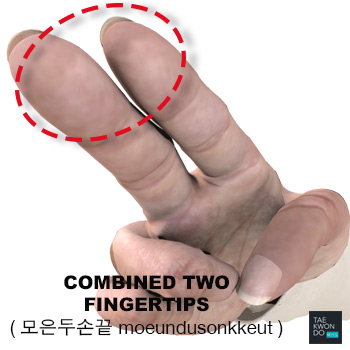 Combined Two Fingertips ( 모은두손끝 moeundusonkkeut )