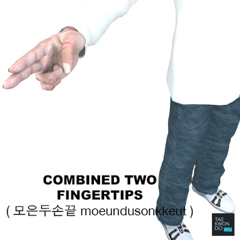 Combined Two Fingertips ( 모은두손끝 moeundusonkkeut )