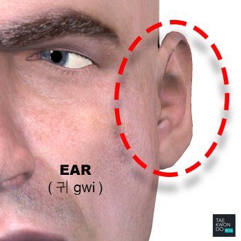 Ear ( 귀 gwi )