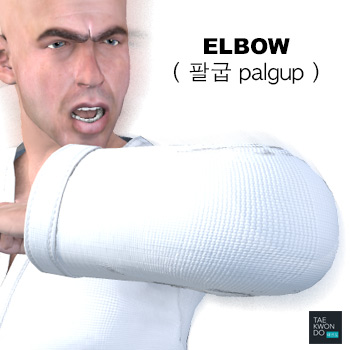 Elbow ( 팔굽 palgup )