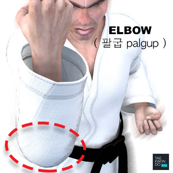 Elbow ( 팔굽 palgup )