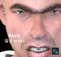 Face ( 얼굴 eolgul )