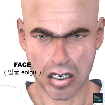 Face ( 얼굴 eolgul )