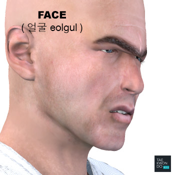 Face ( 얼굴 eolgul )