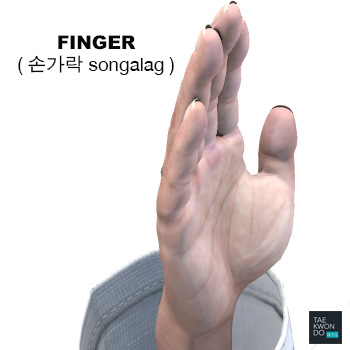 Finger ( 손가락 songalag )