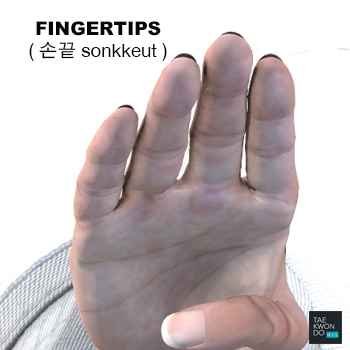 Fingertips ( 손끝 sonkkeut )