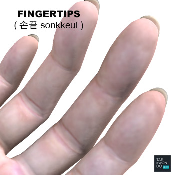 Fingertips ( 손끝 sonkkeut )