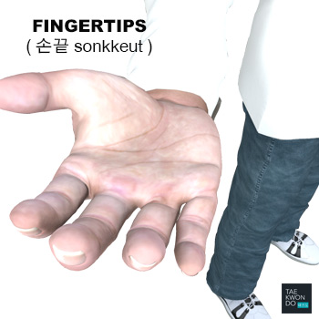 Fingertips ( 손끝 sonkkeut )