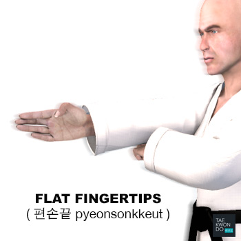 Flat Fingertips ( 편손끝 pyeonsonkkeut )
