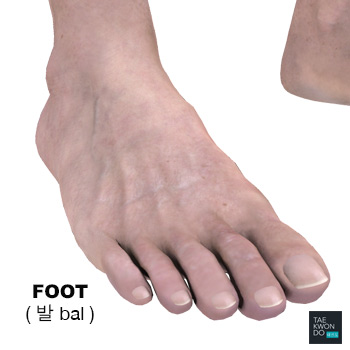 Foot ( 발 bal )