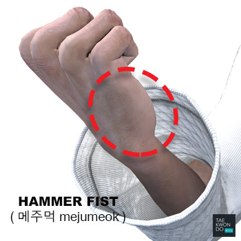 Hammer Fist ( 메주먹 mejumeok )