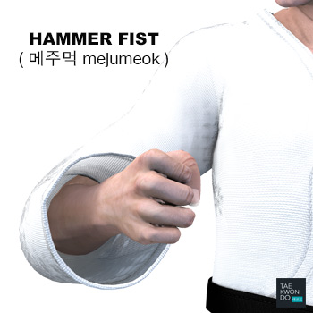 Hammer Fist ( 메주먹 mejumeok )