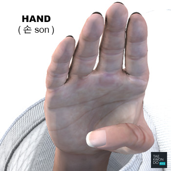 Hand ( 손 son )