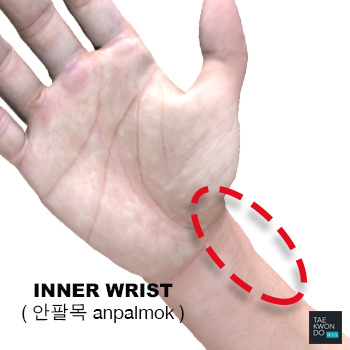 Inner Wrist ( 안팔목 anpalmok )