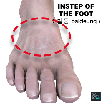 Instep of the Foot ( 발등 baldeung )