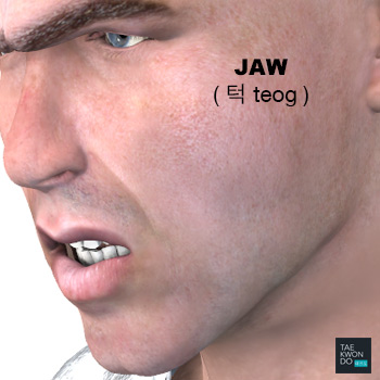 Jaw ( 턱 teog )