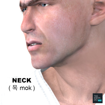Neck ( 목 mok )