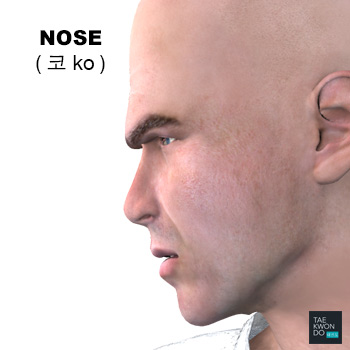 Nose ( 코 ko )