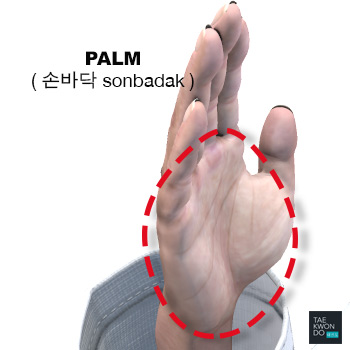 Palm ( 손바닥 sonbadak )
