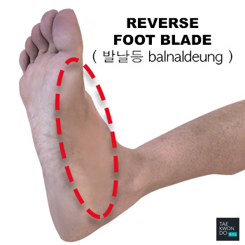 Reverse Foot Blade ( 발날등 balnaldeung )