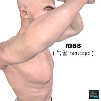 Ribs ( 늑골 neuggol )