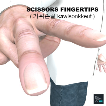 Scissors Fingertips ( 가위손끝 kawisonkkeut )