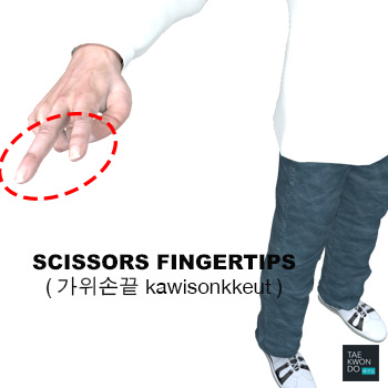 Scissors Fingertips ( 가위손끝 kawisonkkeut )