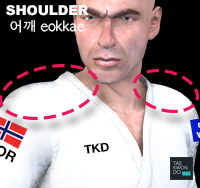 Shoulder ( 어깨 eokkae )