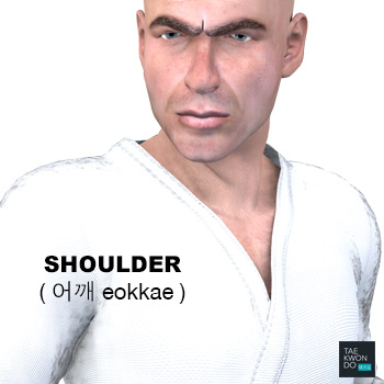 Shoulder ( 어깨 eokkae )