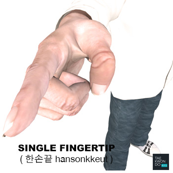 Single Fingertip ( 한손끝 hansonkkeut )