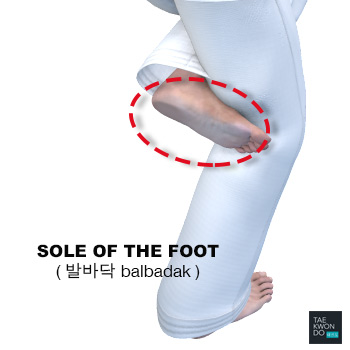 Sole of the Foot ( 발바닥 balbadak )