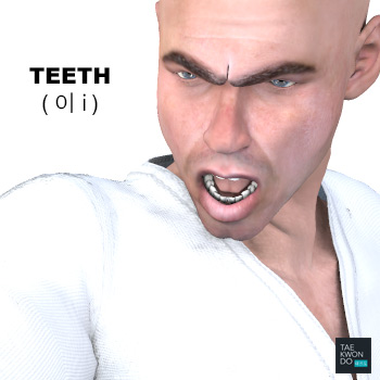 Teeth ( 이 i )
