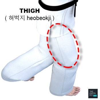 Thigh ( 허벅지 heobeokji )