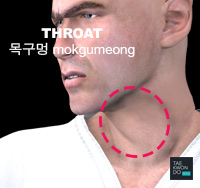 Throat ( 목구멍 mokgumeong )