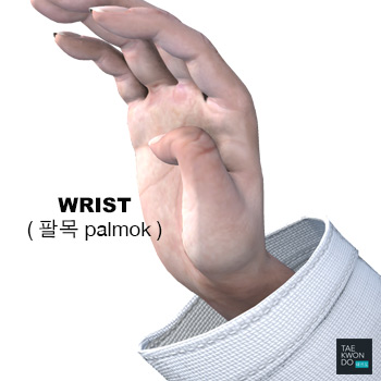 Wrist Area ( 팔목 palmok )