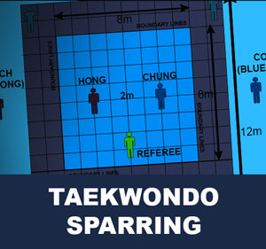 World Taekwondo (WT) Sparring ( 겨루기 gyeorugi )