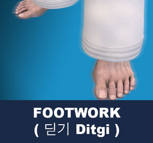 Footwork ( 딛기 ditgi ) | Taekwondo Preschool