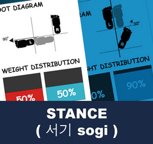 Taekwondo Stance ( 서기 sogi )