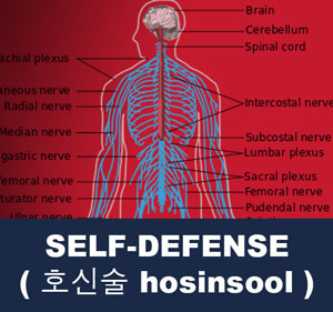 Self-Defense ( 호신술 hosinsool )