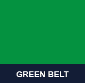 Green Belt taekwondo test