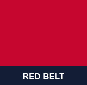 Red Belt taekwondo test