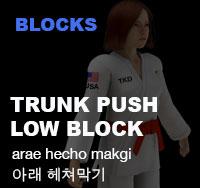 Taekwondo Trunk Push Low Block (arae hecho makgi) 