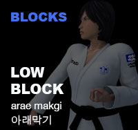 Taekwondo Low Block