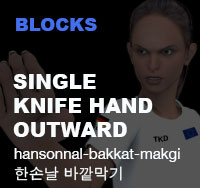 Taekwondo Single Knife Hand Outward Block ( 한손날 바깥막기 hansonnal-bakkat-makgi )