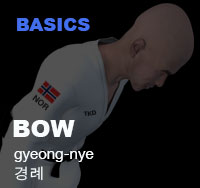 Taekwondo Bow (kyeong nye)