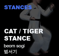 Taekwondo Cat Stance (beom sogi)