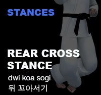 Taekwondo Rear Cross Stance
